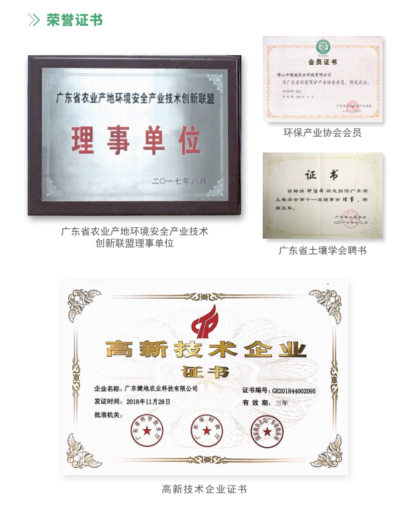 榮譽(yù)證書(shū).png